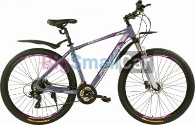 Горные велосипеды PIONEER NAVIGATOR 29 AL/17 gray-silver-wine